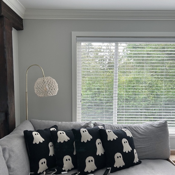 Rachel Zoe Viral Ghost Pillows - BNWT - Picture 1 of 3